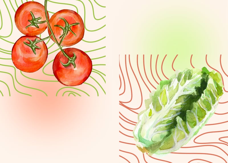 watercolor tomato and lettuce