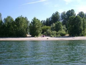 Cottonwood_Beach_from_River.cropped