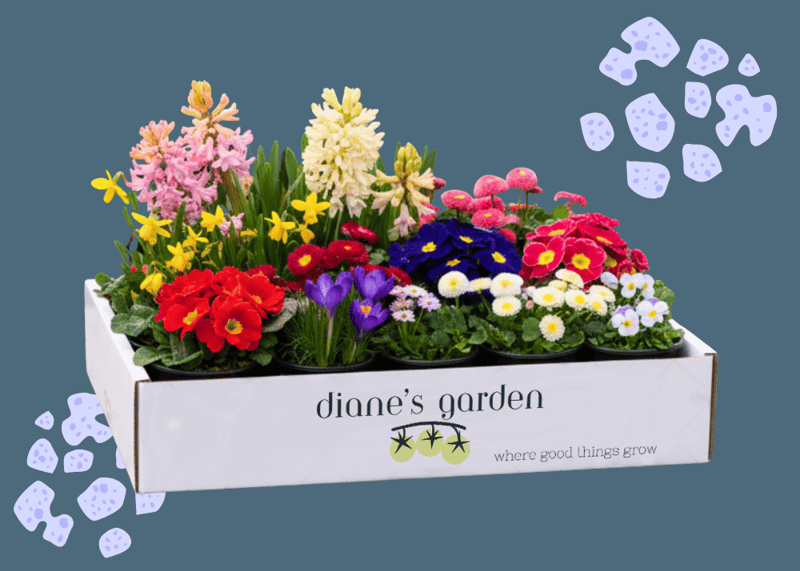 Custom corrugated tray